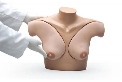 S230.42 Breast Examination Simulator