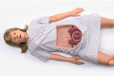 Surgical Chloe patient simulator without abdomen to show internal anatomy