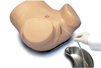 S230.6 Advanced Patient Care Female Catheterization Simulator