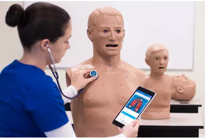 S315.200 Heart and Lung Sounds Adult Torso