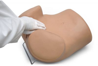 S503 Gynecologic Simulator