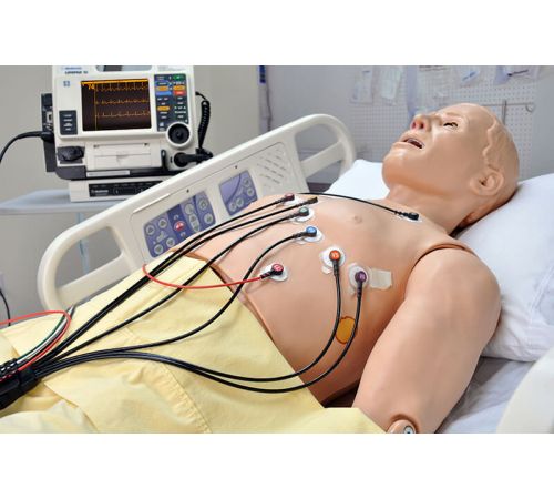 HAL® S1020 Emergency Care Simulator