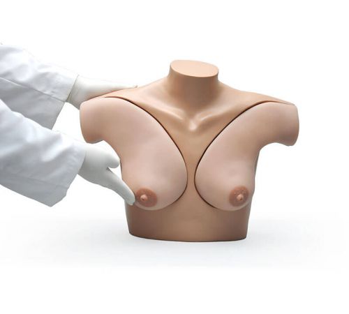 S230.42 Breast Examination Simulator