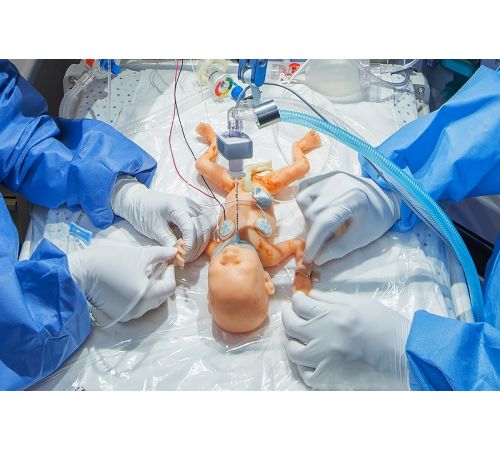 Premie Hal® 24-Week Preterm Newborn Skills Trainer