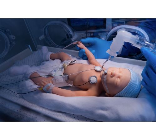 Premie HAL® S2209 30-Week Premature Infant Patient Simulator