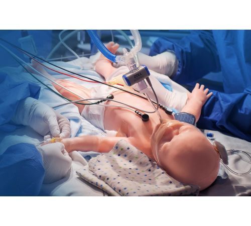 Super Tory S2220 - The World's Most Advanced Newborn Patient Simulator