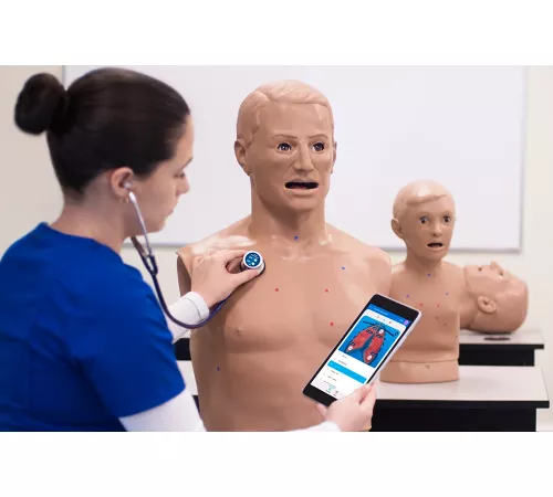 S315.200 Heart and Lung Sounds Adult Torso
