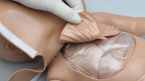 newborn-s104-chest-cavity